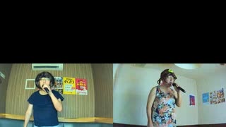 セーラー服と機関銃“夢の途中”／薬師丸ひろ子