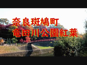 竜田川公園紅葉