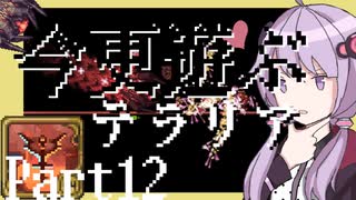【Terraria】今更遊ぶテラリア Calamity mod [Part.12]