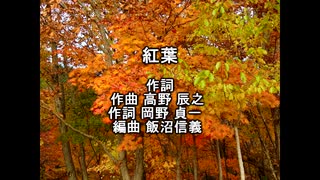 【第十四回ボカロクラシカ音楽祭】紅葉