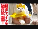 生ける宝石珍獣、新薬で背脂チャッチャ系獣に生まれ変わる