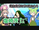 【ヒロアカUR】塩崎茨使ってみた！