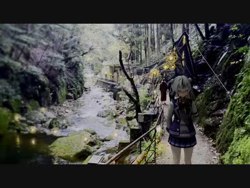 ライトアップ、綺麗ですね？