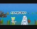 イルカ