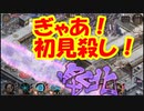 【城プロ紙芝居】307.殿「拳ですか(笑)このくらい距離があれば大丈夫だろｗ」リンネ「死ぬよ？」夢幻航海　3-9（難しい）