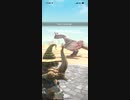 パオウルムー　★4