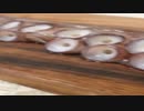 the-biggest-octopus-ever!