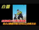 白猫　劫火と剛樹の呪い(HELL)攻略方法　呪術廻戦コラボ第２弾　＃５７　【白猫プロジェクト】