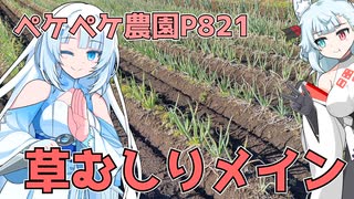 2023年11月22日　農作業日誌P821　草と戦う一日で草取りしたら腰がガクガクになる