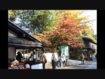 プロジェクト_11-23_HD 720p_MEDIUM_FR30