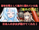 底辺配信者シリーズ「海外の反応」【VOICEVOX劇場】