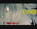 王国の過去を知る器　[Hollow Knight]