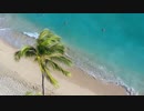 MVになりそうな動画☆長山・知由理FAVS☆