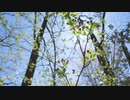 MVになりそうな動画☆長山・知由理FAVS☆