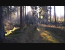 MVになりそうな動画☆長山・知由理FAVS☆