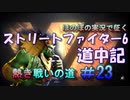 【ストリートファイター６】ほのぼの実況で征く熱き戦いの道＃23【スト6道中記】