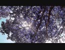 OnlyOne-TULIP；長山・知由理＆HomeEconomics［家庭科］