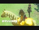 【ティアキン】依頼を受けて、コズミさんにテンテンを見せつけてみた【ドリカラ】【ボイスピ実況,ゼルダの伝説ティアーズオブザキングダム,TotK,ゼル伝】