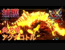 【実況】ぼっちハンターが行く！モンスターハンターXX第67回
