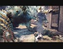 モンスターハンターワールド：アイスボーン 闘技場ジンオウガ　大剣　S
