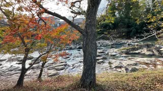 岩手県一関市　厳美渓の様子2　紅葉のシーズン　2023　1111