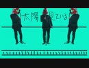 太陽が見ている - 舉頭三尺天氣晴(日语版)