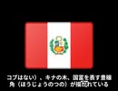 ペルーの国旗ってどんなの