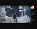 【ELDEN RING】巨人たちの山嶺：異端の魔術師塔（めるなま録画）