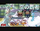 失ったポケモンは二度と戻らない。【ポケモンエメラルド】#34