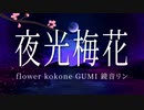 夜光梅花 / Klayn feat. flower,GUMI,kokone,鏡音リン