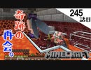 《Minecraft》まさか、生き残ってたなんて。〜てきとうサバイバル245話目。〜