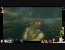 ⌘プレイアーカイブ⌘ ハイラルソード その273