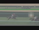 【競馬】　印象に残ったレース　2012年