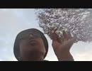 シケキノコ 2023/11/24(金) 15:35開始 ^^hello welcome to mush room~もしもし~~~？wしわしわきのこの哀愁放送~＾＾