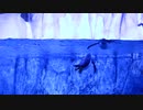 ★ペンギン【ココナッツ・ホリデー】★長山・知由理