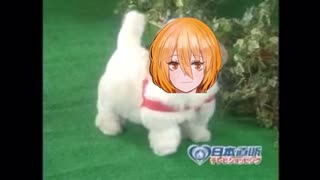 愛犬ロボ「ドンキ」