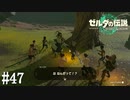 【ゼルダの伝説 Tears of the Kingdom】ゼルダ、パンイチ指示事件【実況】#47