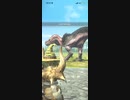 アンジャナフ　★1