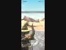 パオウルムー　★4