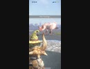 パオウルムー　★5