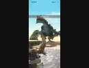 リオレイア　★5
