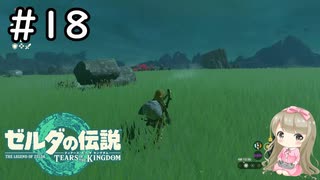 #18【女性実況】ゼルダの伝説 ティアーズ オブ ザ キングダムで癒される♪