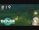 #19【女性実況】ゼルダの伝説 ティアーズ オブ ザ キングダムで癒される♪【ティアキン_交易所跡】