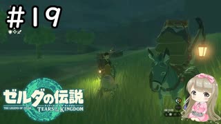 #19【女性実況】ゼルダの伝説 ティアーズ オブ ザ キングダムで癒される♪【ティアキン_交易所跡】