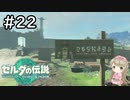 #22【女性実況】ゼルダの伝説 ティアーズ オブ ザ キングダムで癒される♪【ティアキン_中央広場跡】