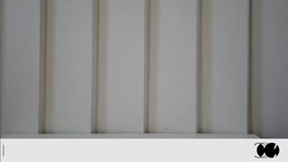 【歌ってみた】人マニアー重音テト