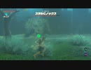ゼルダの伝説　ブレス オブ ザ ワイルド　実況プレイPart107