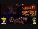 【Terraria_Calamity_Infernum】part17 てめェブッころがす！【ゆっくり実況】