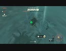 初プレイ、ハート縛りでクリアするゼルダの伝説ティアーズオブキングダム【2023年8月16日放送】4/6