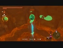 【Switch】リンクがゾナウとゼルダ探し旅【プレイ動画】part91